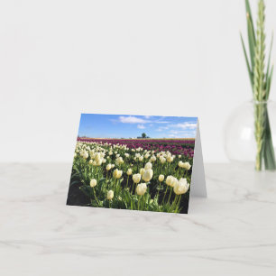 White & Purple Tulip Field with Hot Air Balloon Thank You Card