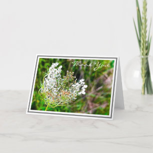 White Queen Anne's Lace Flower in Green Field Card