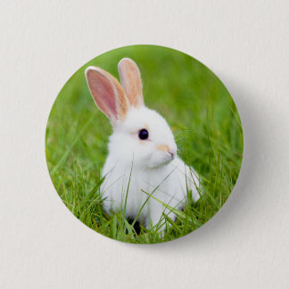 White Rabbit 6 Cm Round Badge