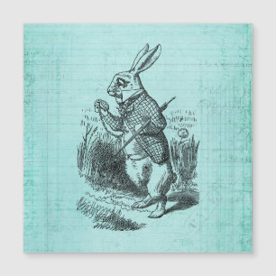 White Rabbit Alice in Wonderland Art