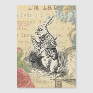 White Rabbit Alice in Wonderland Art