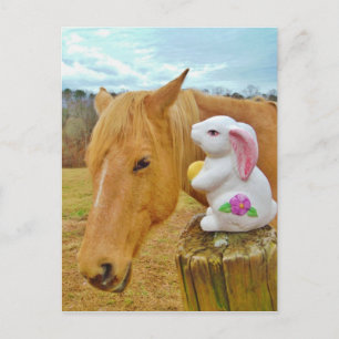 White rabbit and blonde yellow horse postcard