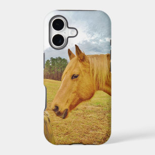 White Rabbit and Yellow Horse