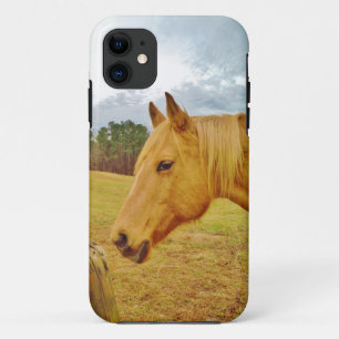 White Rabbit and Yellow Horse iPhone 11 Case