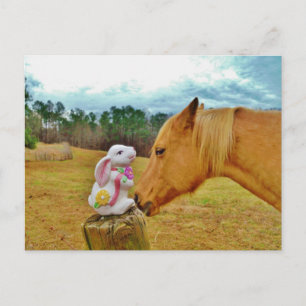 White Rabbit and Yellow Horse Postcard