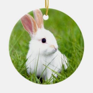 White Rabbit Ceramic Tree Decoration
