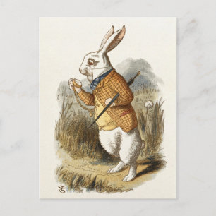 White Rabbit from Alice In Wonderland Vintage Art Postcard