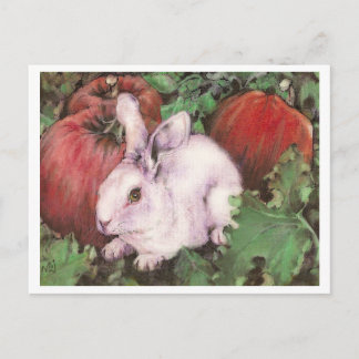 White Rabbit in the Pumpkin Patch Postcard