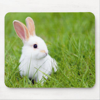 White Rabbit Mouse Pad