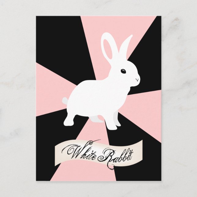 White Rabbit, Pink and White Postcard (Front)