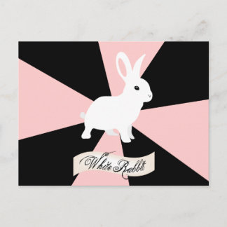White Rabbit, Pink, Black and White Postcard