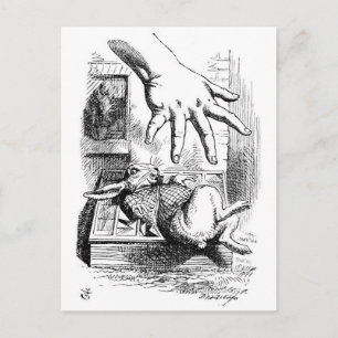 White Rabbit Postcard
