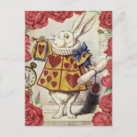 White Rabbit