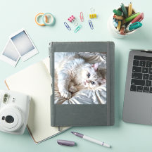 White Ragdoll Cat