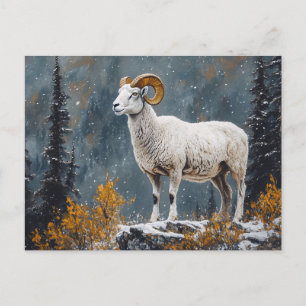 White Ram Standing on Snowy Mountain Postcard
