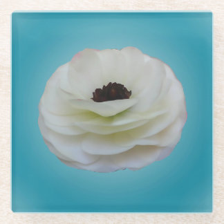 White Ranunculus Flower Glass Coaster