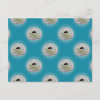 White Ranunculus Flower Postcard