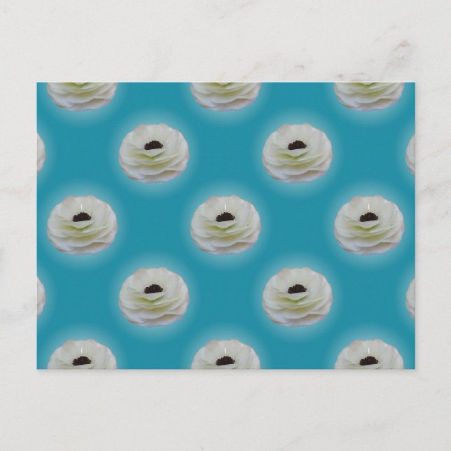 White Ranunculus Flower Postcard (Front)