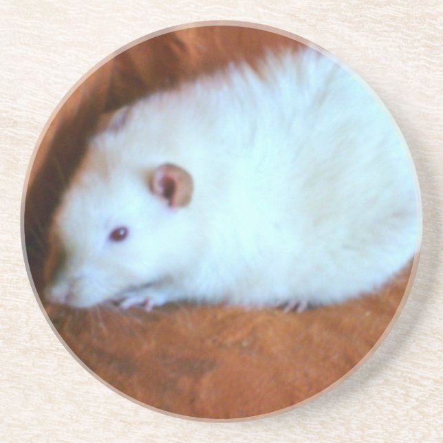 White Rat Snowball Coasters (Front)