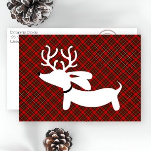 White Reindeer Dachshund on Plaid Holiday Card