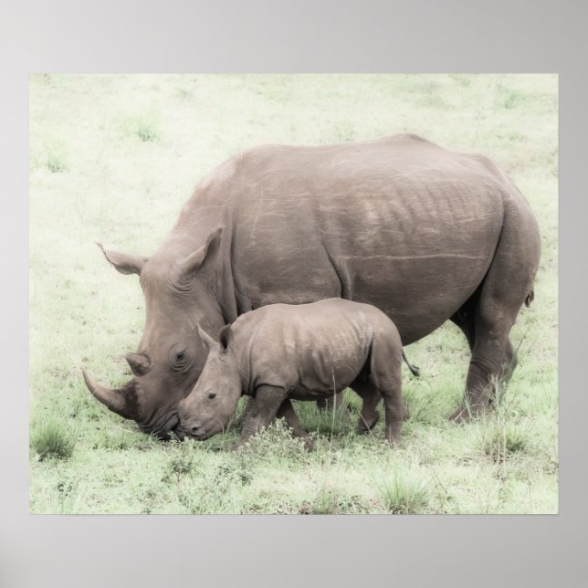 White Rhino & Baby Poster (Front)
