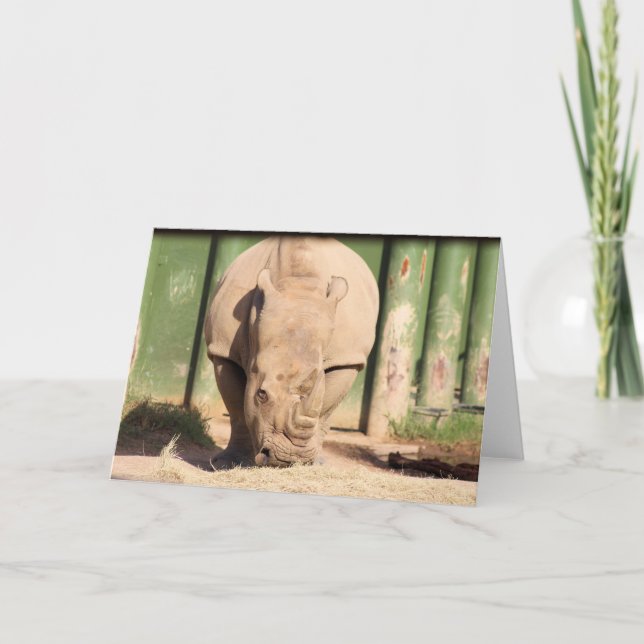 White rhino card (Front)