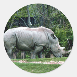 White Rhino Classic Round Sticker