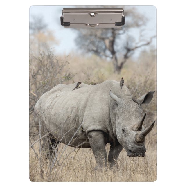 White Rhino Clipboard (Front)