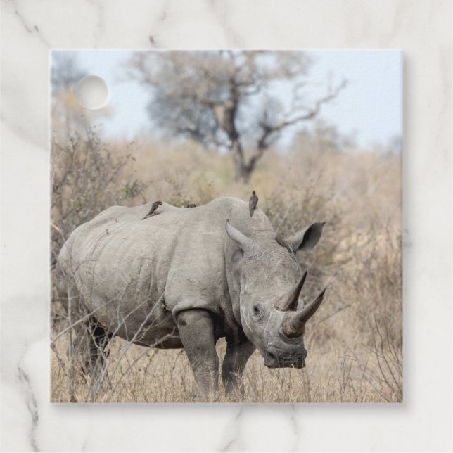 White Rhino Favour Tags (Front)