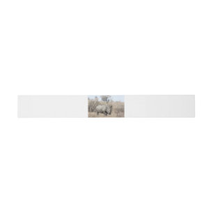 White Rhino Invitation Belly Band
