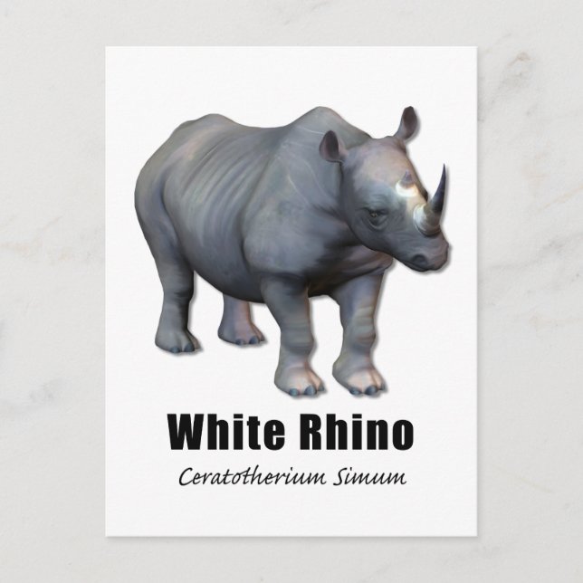 White Rhino Postcard (Front)