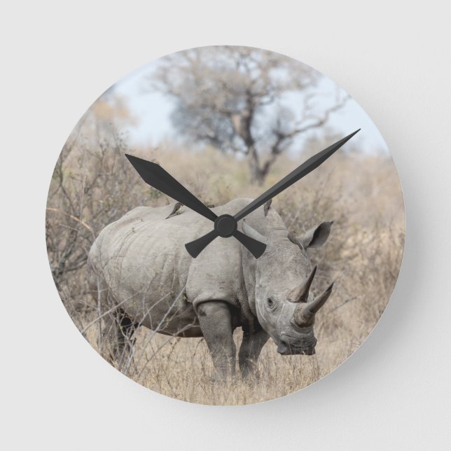 White Rhino Round Clock (Front)