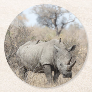 White Rhino Round Paper Coaster