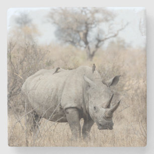 White Rhino Stone Coaster