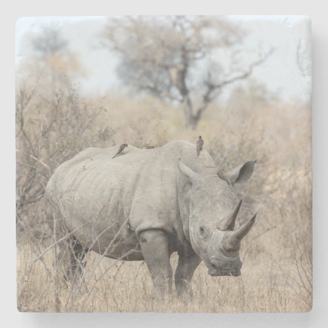 White Rhino Stone Coaster (Front)