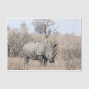 White Rhino Tissue Paper