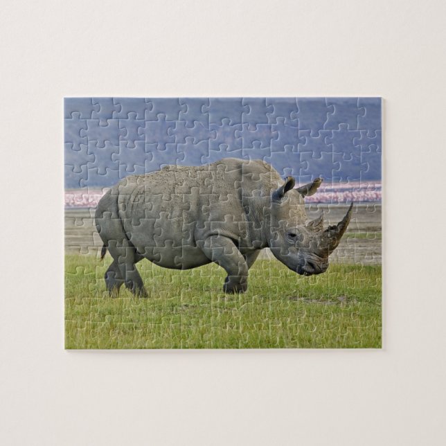 White Rhinoceros and distant Lesser Flamingos, Jigsaw Puzzle (Horizontal)