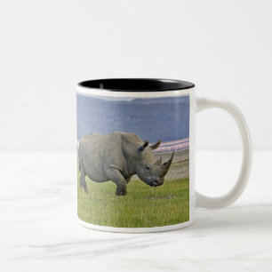 White Rhinoceros and distant Lesser Flamingos, Two-Tone Coffee Mug