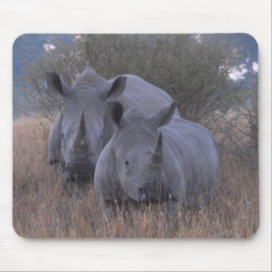 White Rhinos Mouse Pad