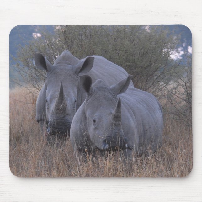 White Rhinos Mouse Pad (Front)