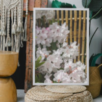 White Rhododendron Blooms and Bamboo Fence Floral