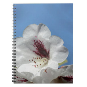 White Rhododendron with Burgundy Notebook