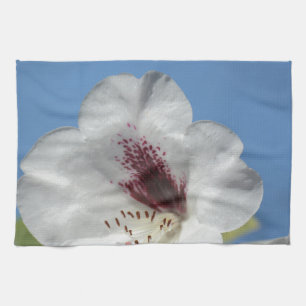 White Rhododendron with Burgundy Tea Towel