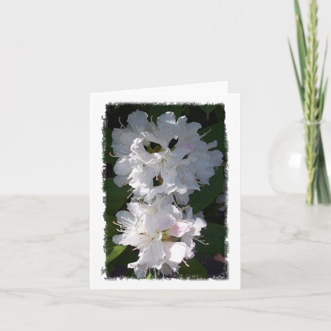 White Rhododendrons Notecard (Front)