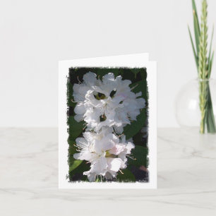 White Rhododendrons Notecard