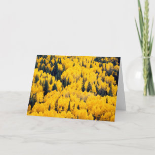 White River National Forest Aspen, Colorada Card