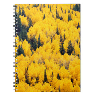 White River National Forest Aspen, Colorada Notebook