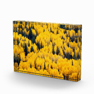 White River National Forest Aspen, Colorada Photo Block