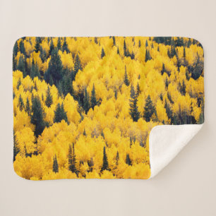 White River National Forest   Aspen, Colorada Sherpa Blanket