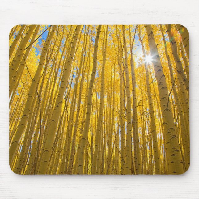 White River National Forest Mouse Pad (Front)